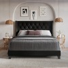 Home Design Homer Tufted Upholstered Panel Bed - 2 of 4