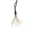 Kurt Adler 75-Light Cluster Lights and Warm White Twinkle LED Lights with Green Wire - 3 of 4