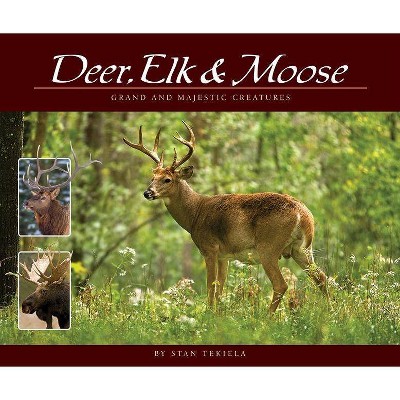 Deer, Elk & Moose - (Wildlife Appreciation) by  Stan Tekiela (Paperback)