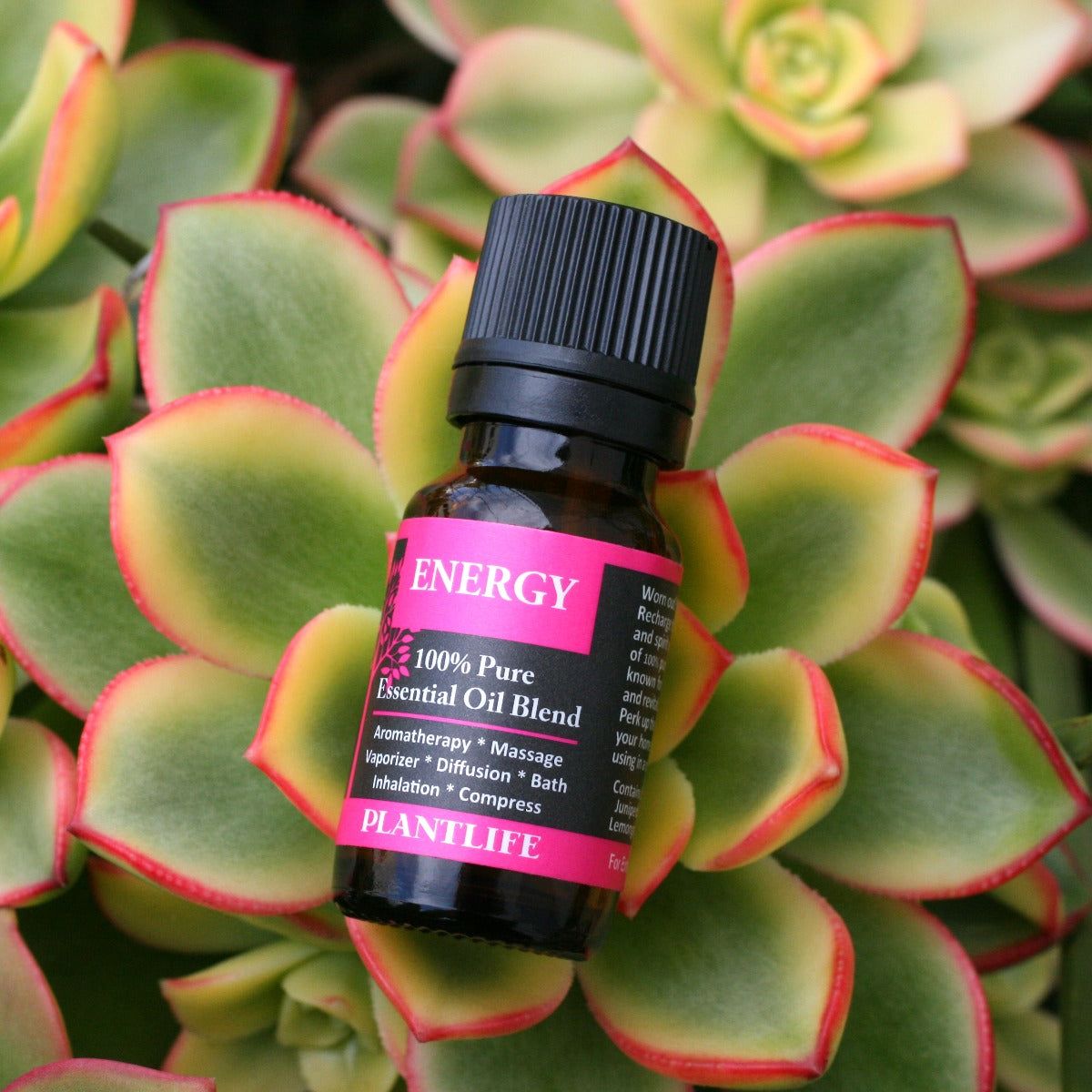 Plantlife Energy Essential Oil Blend – 100% Pure & Therapeutic Grade – Natural, Undiluted – No Additives or Fillers – Made in USA – 10ml Aromatherapy - thumbnail 4