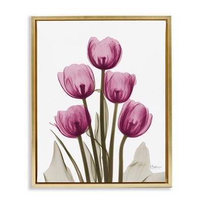 Stupell Industries Pink X-Ray Tulips, 17" x 21"