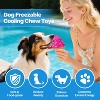 Allforpaws Dog Cooling Chew Toys, 2 Pack Freezable Pet Teething Toys for Puppies for Summer Cooling - 4 of 4