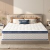 Whisen 10" Queen Hybrid Mattress with Memory Foam, Pocket Innerspring, Medium Firm - 2 of 4
