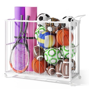 MOEPISY Ball Storage Bin Rolling Sports Ball Cart, Metal Garage Organizer Sport Rack white - 1 of 4