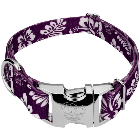 Country brook outlet dog collars