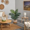Nearly Natural 4-ft Kentia Palm Artificial Tree in Boho Chic Handmade Natural Cotton Woven Planter with Tassels - 4 of 4