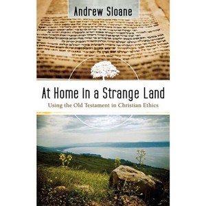 At Home in a Strange Land - by  Andrew Sloane (Paperback) - 1 of 1