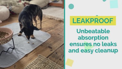 Medium Gray Washable Waterproof Pet Training Pads - 2 Pack