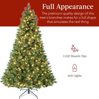 9-Foot Pre-Lit Scotch Pine Christmas Tree with Multicolor LED Lights