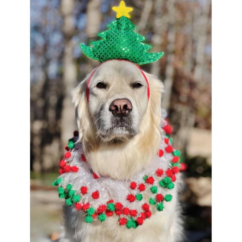Midlee Christmas Pom Pom Decorative Dog Collar, 4 of 6