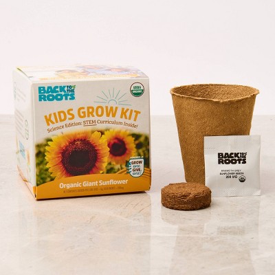 Back to the Roots Kids Grow Kit Science Edition Organic Giant Sunflower