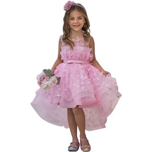 Dreaming With Fairies Pink Butterfly Tulle Dress Mia Belle Girls - 1 of 4