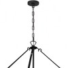 Crystorama Lighting Emory 22 - Light Chandelier in  Black Forged - 3 of 4