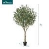 DR.Planzen 5-8FT Lush Artificial Olive Tree - UV Resistant Fake Plant with Black Fruits in 7x8" Black Pot for Indoor/Outdoor House & Floor Decor - 3 of 4