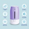 LivePure Cool Mist Humidifiers  w/ Quiet Operation, USB-C Rechargeable. - 4 of 4