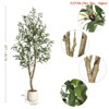 Home Office 5ft/6ft/7ft Tall Faux Olive Tree, Olive Trees Artificial w/ White Planter, Realistic Potted Silk Artificial Olive Tree w/Green Leaves - 3 of 4