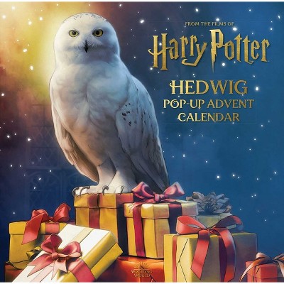 harry potter book art hedwig