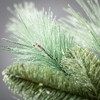 Sullivans Artificial Christmas Frosted Pine Accent Ring  Green  Indoor Christmas DÃƒÂ©cor - 2 of 3