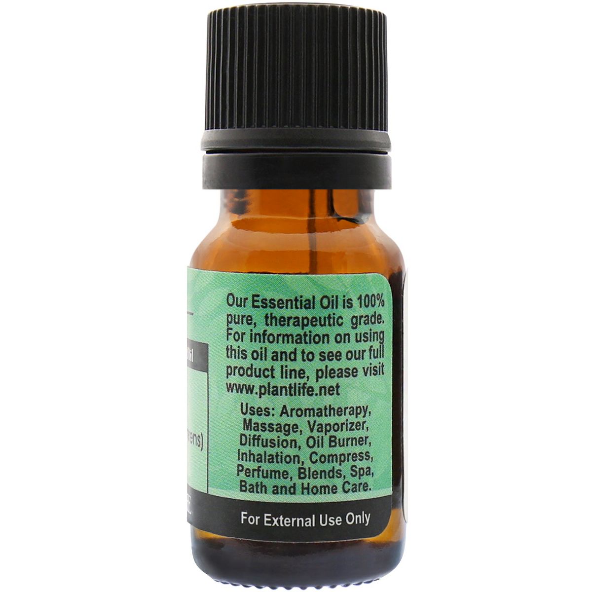 Plantlife Cypress Aromatherapy Essential Oil - Straight from The Plant 100% Pure Therapeutic Grade - No Additives or Filters - 10 ml - thumbnail 2
