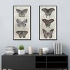 Masterpiece Art Gallery 17"x34" Antique Butterflies I and II Wall Art - 3 of 4