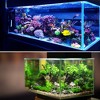 Unique Bargains Fish Tank Aquarium Decorations Plants Mini Aquarium Decorations Plastic Plants 10.24" 1pcs - 2 of 4