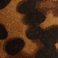 leopard print