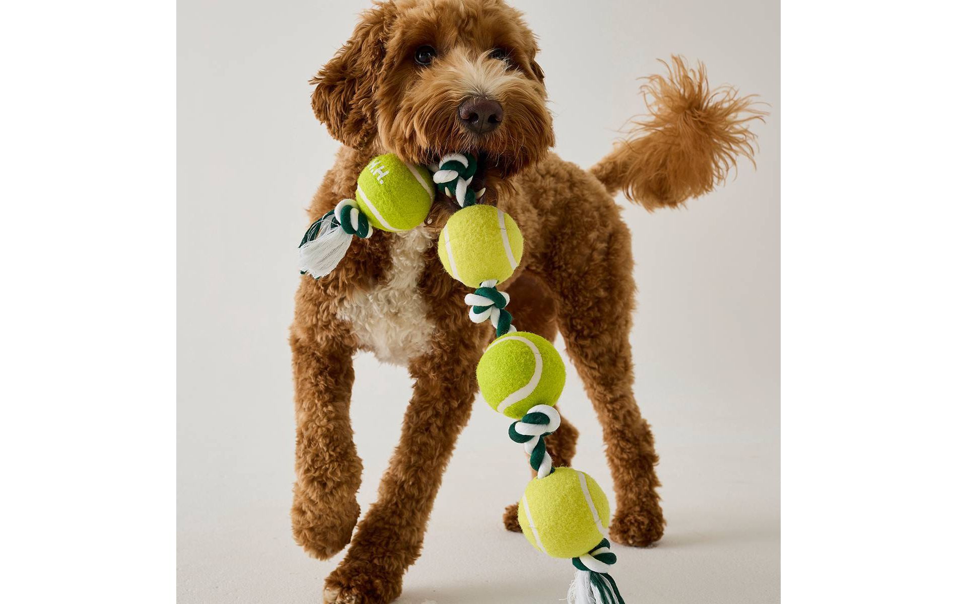 Hooray House Tennis Ball Rope Tug Toy
