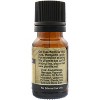 Plantlife Black Pepper Essential Oil – 100% Pure & Therapeutic Grade – Natural, Undiluted & Steam-Distilled – No Additives or Fillers – 10 ml - 2 of 3