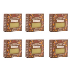 Plantlife Citrus Burst Bar Soap – Moisturizing, Soothing, Handcrafted, Plant-Based – Made in California, 4oz - 1 of 2