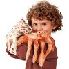 Folkmanis Puppets Hermit Crab Puppet 2867 - 4 of 4