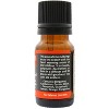 Plantlife Holiday Aromatherapy Essential Oil Blend – 100% Pure, Therapeutic Grade, No Additives or Fillers, Made in California, 10 ml - 2 of 4