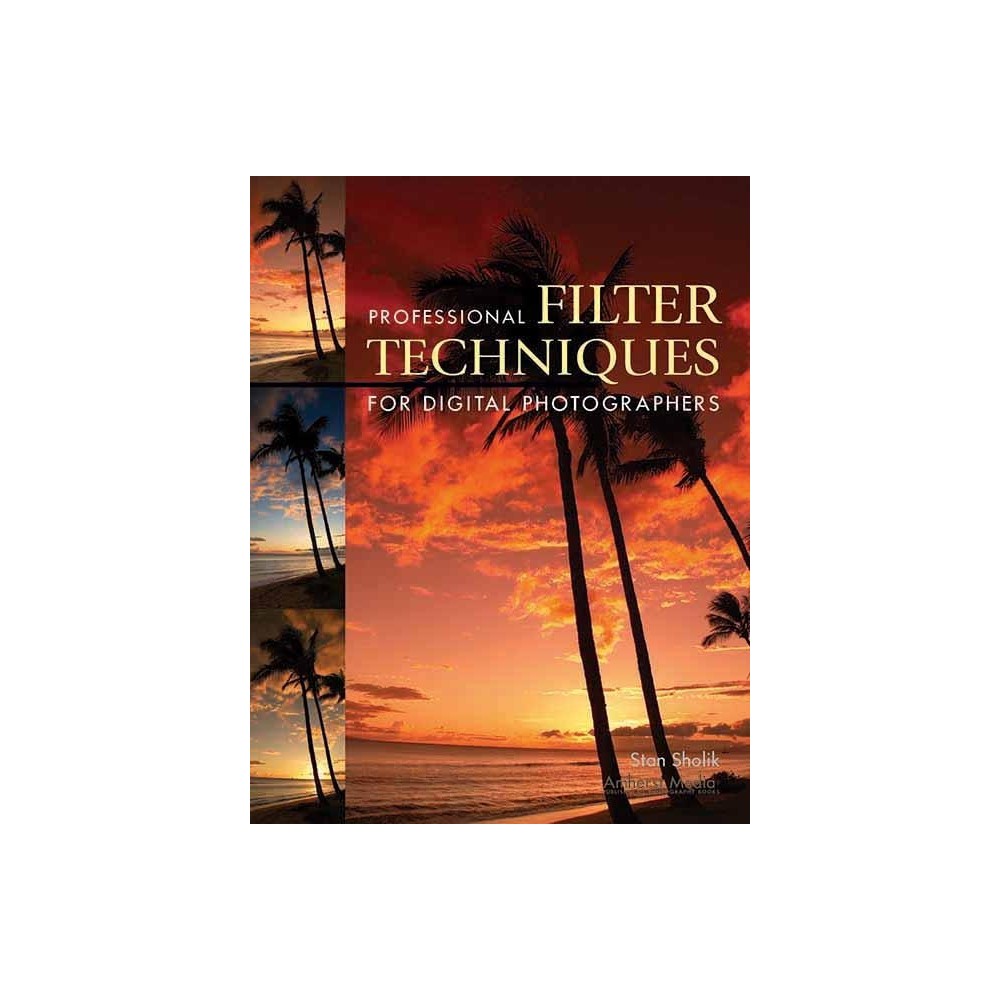 Professional Filter Techniques for Digital Photographers - by Stan Sholik (Paperback)