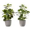 NicBex Artificial Plant Set Of 2, Fake Plants in White Pots, Tabletop Faux Plants Indoor for Living Room/Office/Windowsill Decor - 4 of 4
