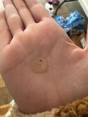 Guest review image 1 of 1, zoom in