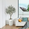 DR.Planzen 6-7FT Artificial Olive Tree with White/Brown Tall Planter - UV Resistant Faux Plants with three branches for Indoor/Outdoor for Home Decor - 4 of 4
