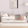 Modern Twin Size Platform Bed With 2 Drawers, Headboard And Footboard Wood Slats Support, No Box Spring Needed - 3 of 4