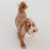 Dexypaws: Super Chew Rings - Beige & Black - 2pc Dog Teething Toys - 4 of 4