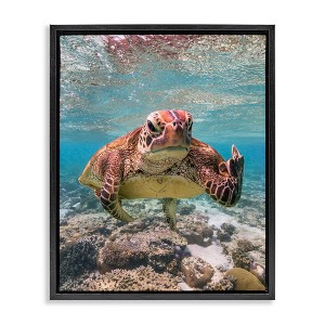 Stupell Industries Angry Turtle Middle Finger Black Framed Floater Canvas Wall Art - 1 of 4