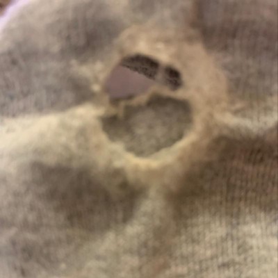 Guest review image 1 of 1, zoom in