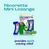 Nicorette 4mg Stop Smoking Aid Nicotine Mini Lozenge - Mint - 4 of 4