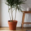 Bloem Rolled Rim Indoor Outdoor Planter Pot Terracotta Orange 21.5"x19.5" - 2 of 3
