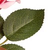 10" Articiail Potted Pink Rose Flowers - National Tree Company - 4 of 4