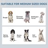 SKYONE White Pet Feeding Station for Medium Dogs with Hidden Bowls, Adjustable Storage Cabinet & - 3 of 4