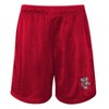 NCAA Wisconsin Badgers Toddler Boys' T-Shirt & Shorts Set - 3 of 3