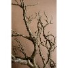 Artificial Dead Wood Branch – 31" Tall Faux Decorative Accent by Kalalou - 2 of 3