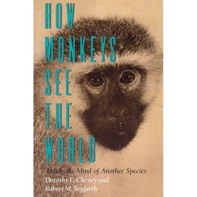 How Monkeys See the World - by  Dorothy L Cheney (Paperback)