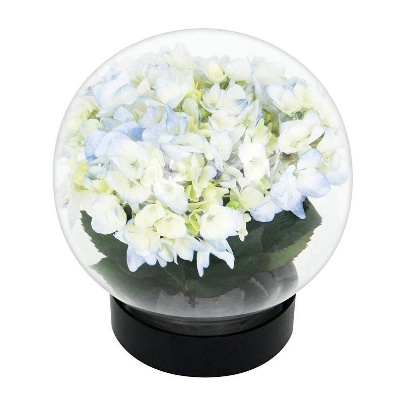 6.4&#34; Glass Globe Vase Clear - ACHLA Designs, 6 of 7