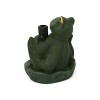 Anybear Frog Umbrella Base - 4 of 4