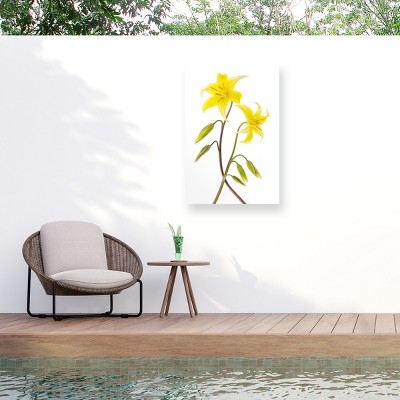 Trademark Fine Art - Jacky Parker Dogtooth Violet Matted Framed Art