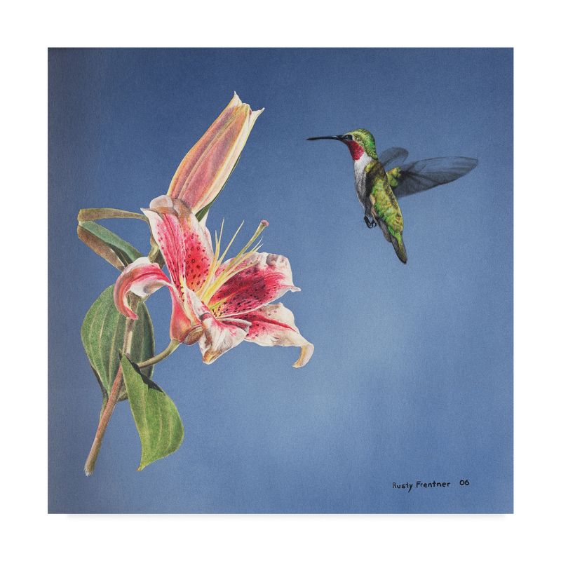 Trademark Fine Art -Rusty Frentner 'Hummingbird And Lily' Canvas Art, 2 of 4